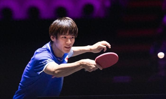 开云体育官网-日乒2大世界冠军出局！张本智和成独苗，国乒欲打破男单3连冠军荒