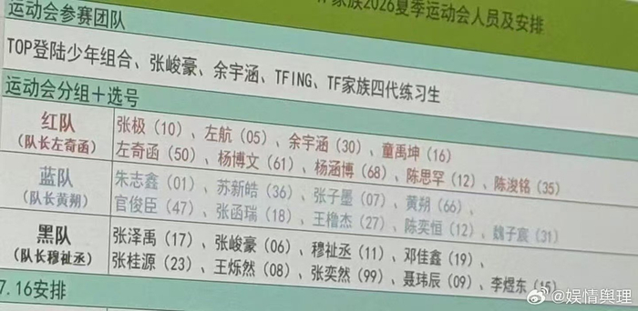 TF家族夏日运动会分组阵容曝光|皓极|涵坤|黄朔|苏新皓|志极_新浪体育_新浪新闻